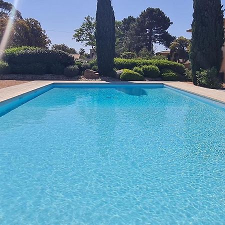 Mini Villa Messicana 5 Pers Piscine 500 M Plage 里奇 外观 照片